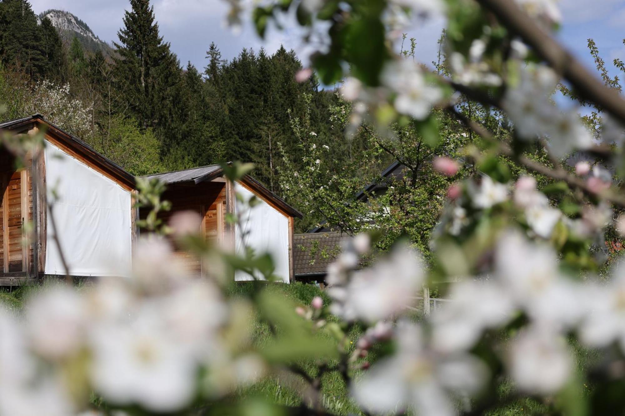 Počitniška hiša Mountain View Glamping *