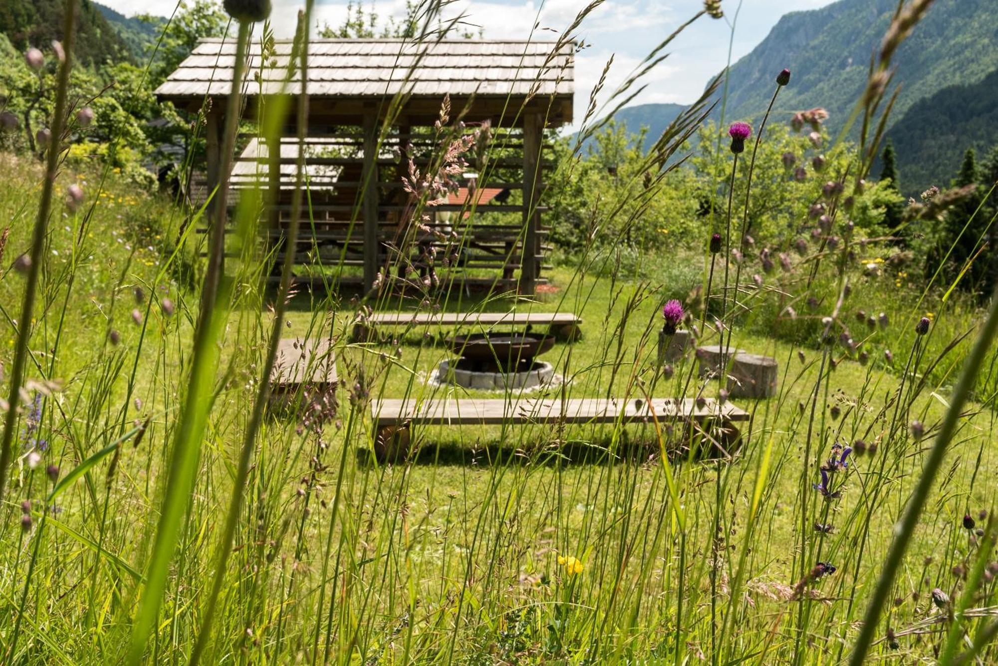 Mountain View Glamping *