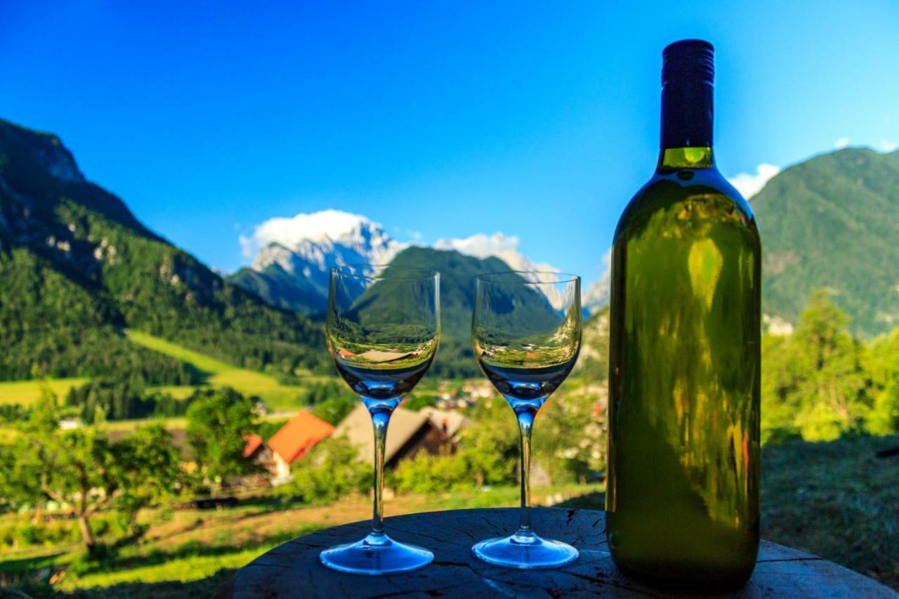 Počitniška hiša Mountain View Glamping *