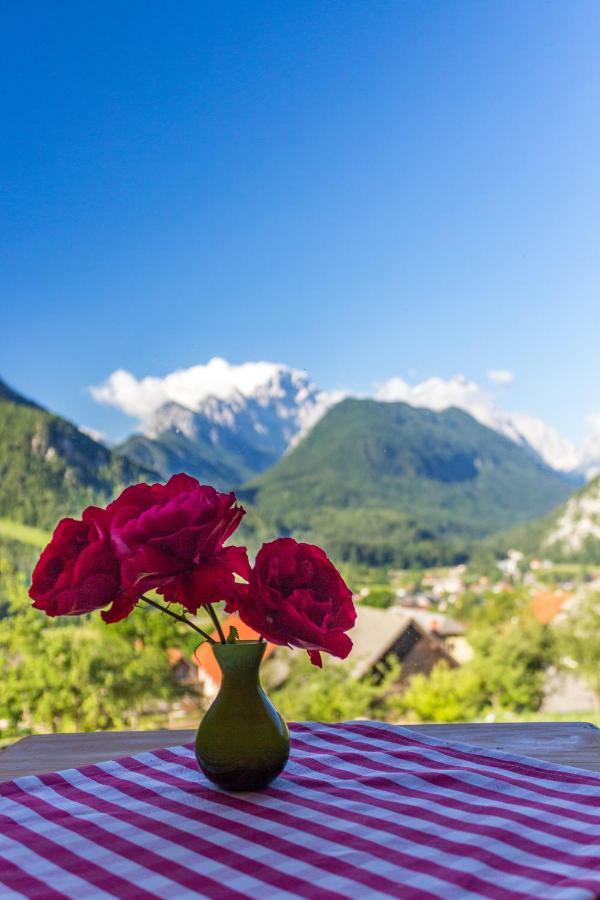 Počitniška hiša Mountain View Glamping *