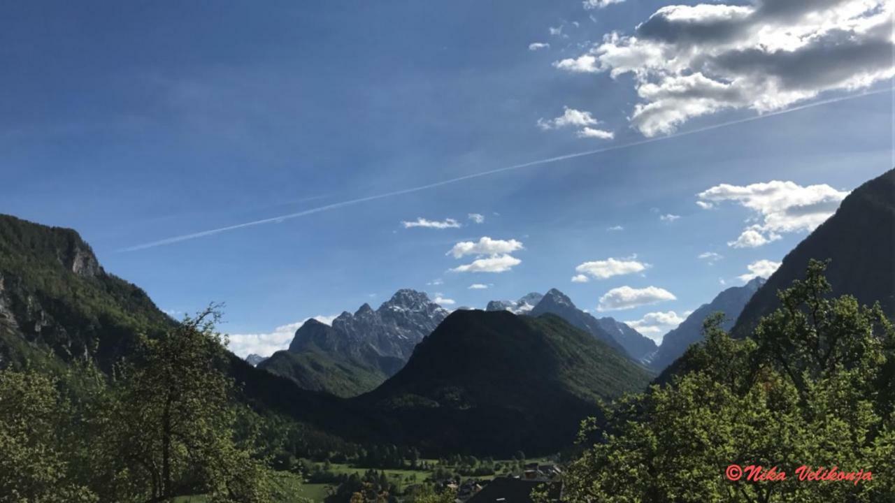 Mountain View Glamping *
