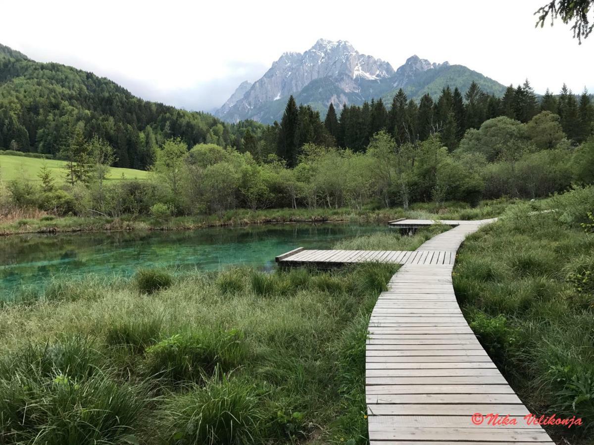 Mountain View Glamping