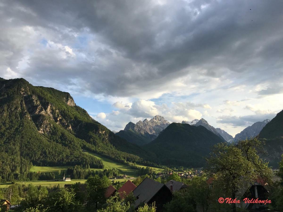 Mountain View Glamping