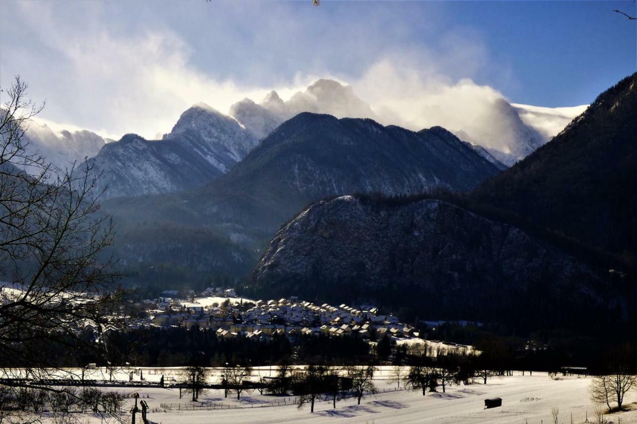 Mountain View Glamping *